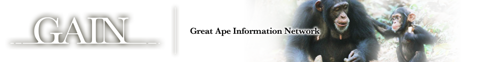GAIN Great Ape Information Network