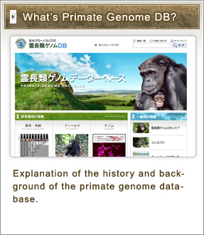 What's primate Genome DB?