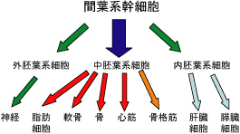 図 5