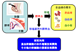 図 2