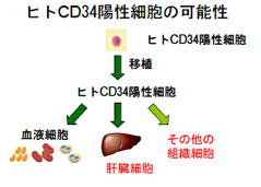 図 3