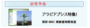 次回予告