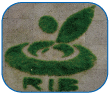 RIB-logo