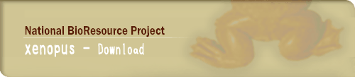 National BioResource Project - Xenopus -